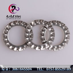 专业供应不锈钢垫圈 内外锯齿垫圈规格齐全，厂家直销现货批发与零售